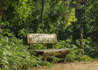 Gardens_Trail